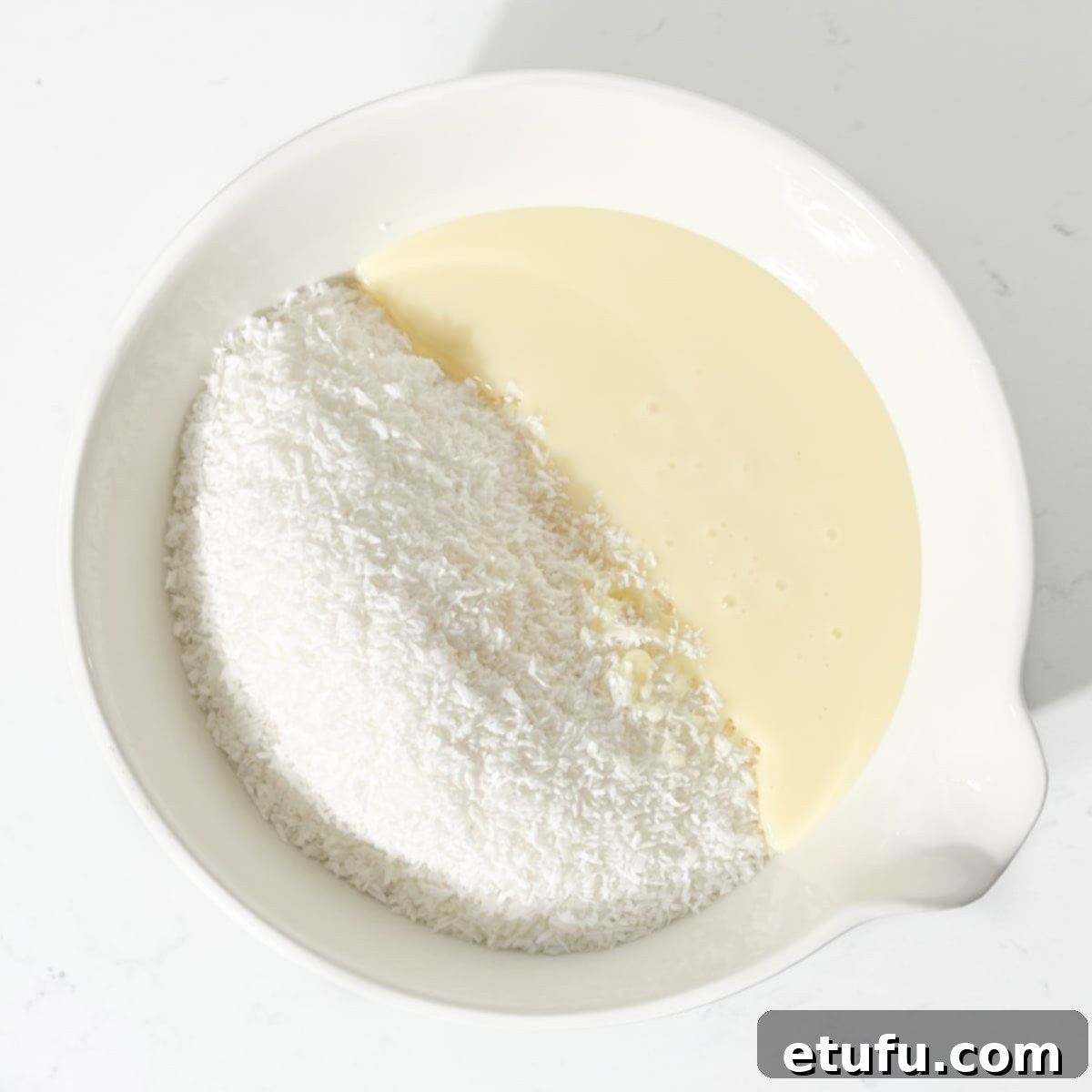Coconut, icing sugar and condensed milk added to a large bowl.