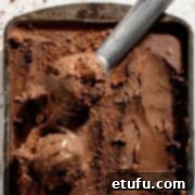 Dark chocolate ice cream in a baking tray with an ice cream scoop.