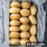Condensed milk cookies lined up in a baking tray wrapped with baking paper.