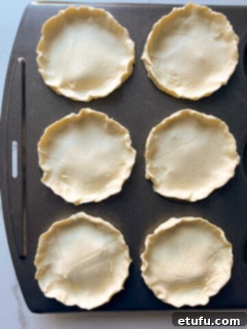 Butter chicken pies with pastry tops sealed edges, showing the crimped edges.