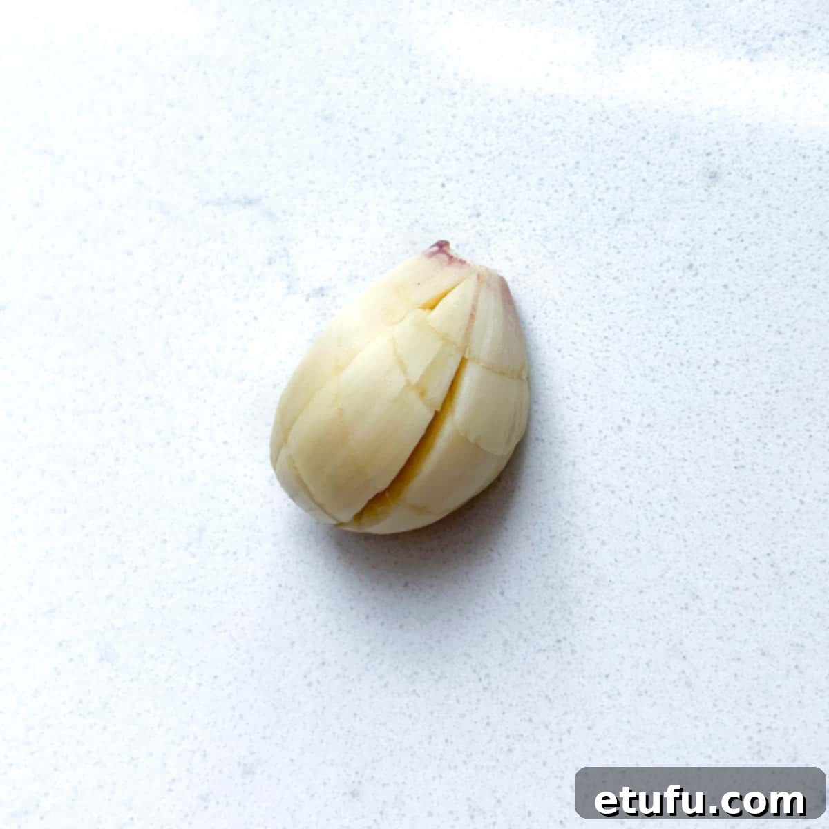 A scored garlic clove.