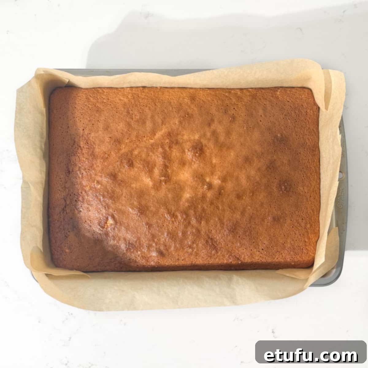 A baked Tottenham cake without icing.