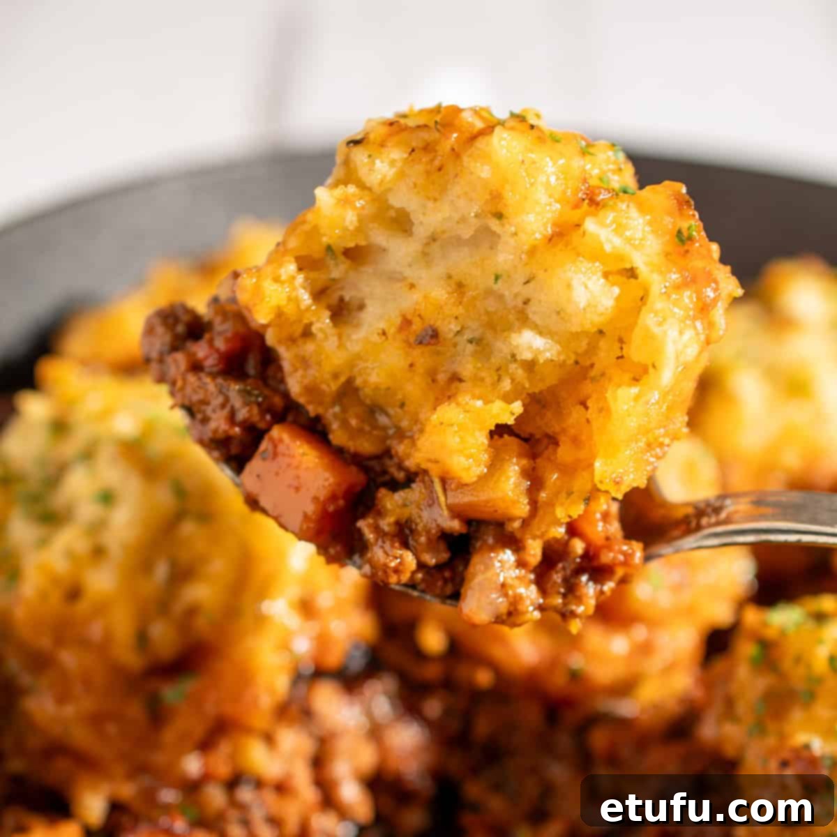 A spoonful of mince and dumplings.