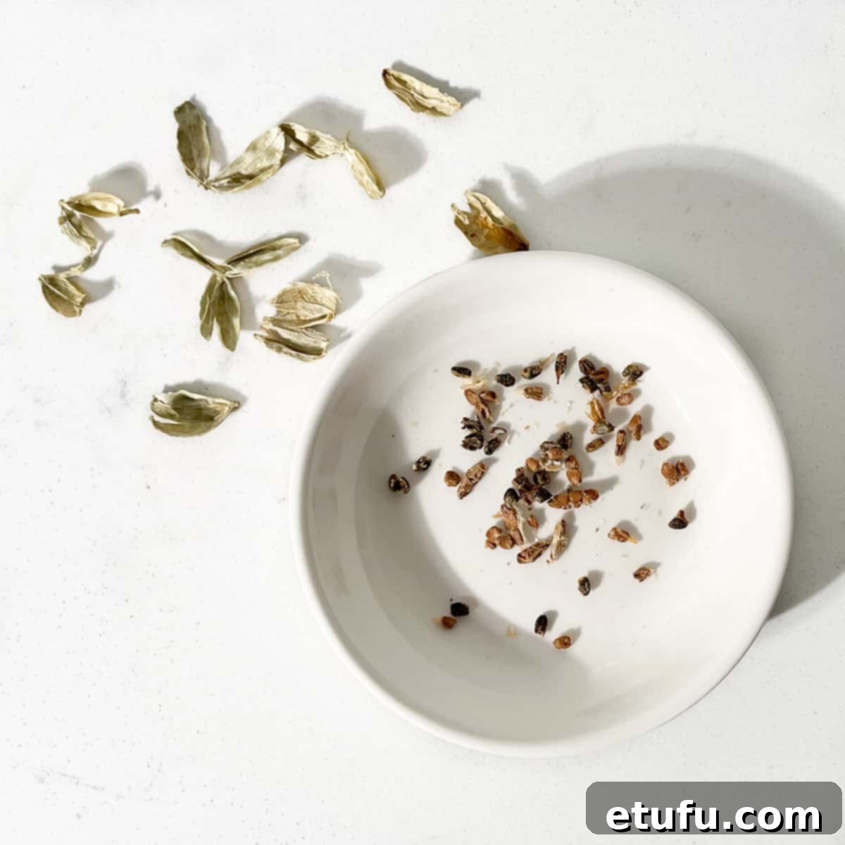 Shelled cardamom pods in a small white bowl.