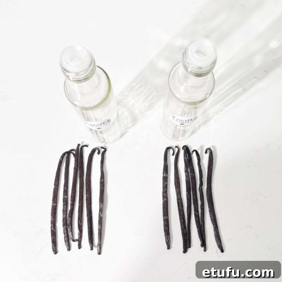 Six vanilla pods each in front of two bottles.