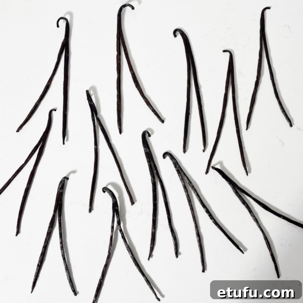 Several vanilla pods sliced open but still in tact on one end.