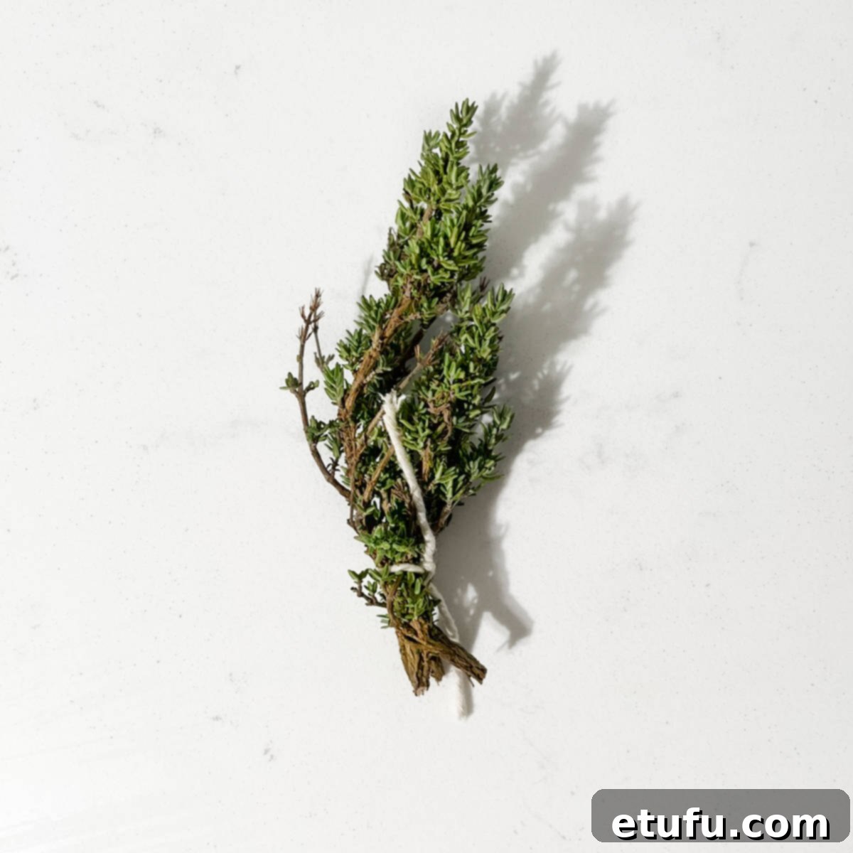 A bunch of thyme tied with string.