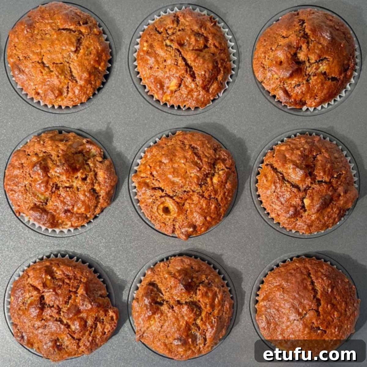 Baked date muffins cooling in the muffin pan.